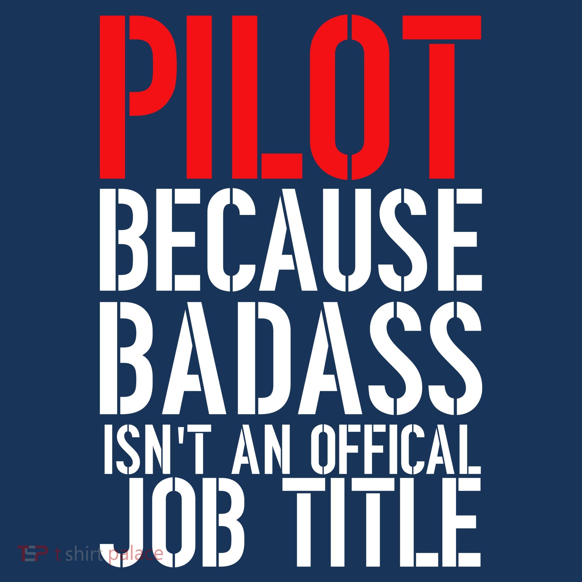Pilot Official Job Title Hat