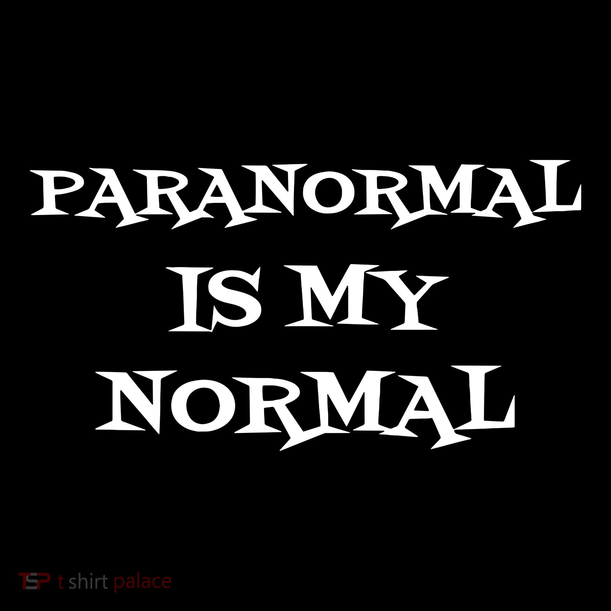 Paranormal Is My Normal Ghost Hunting Kids T-Shirt