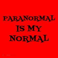 Paranormal Is My Normal Ghost Hunting Santa Hat thumb 1