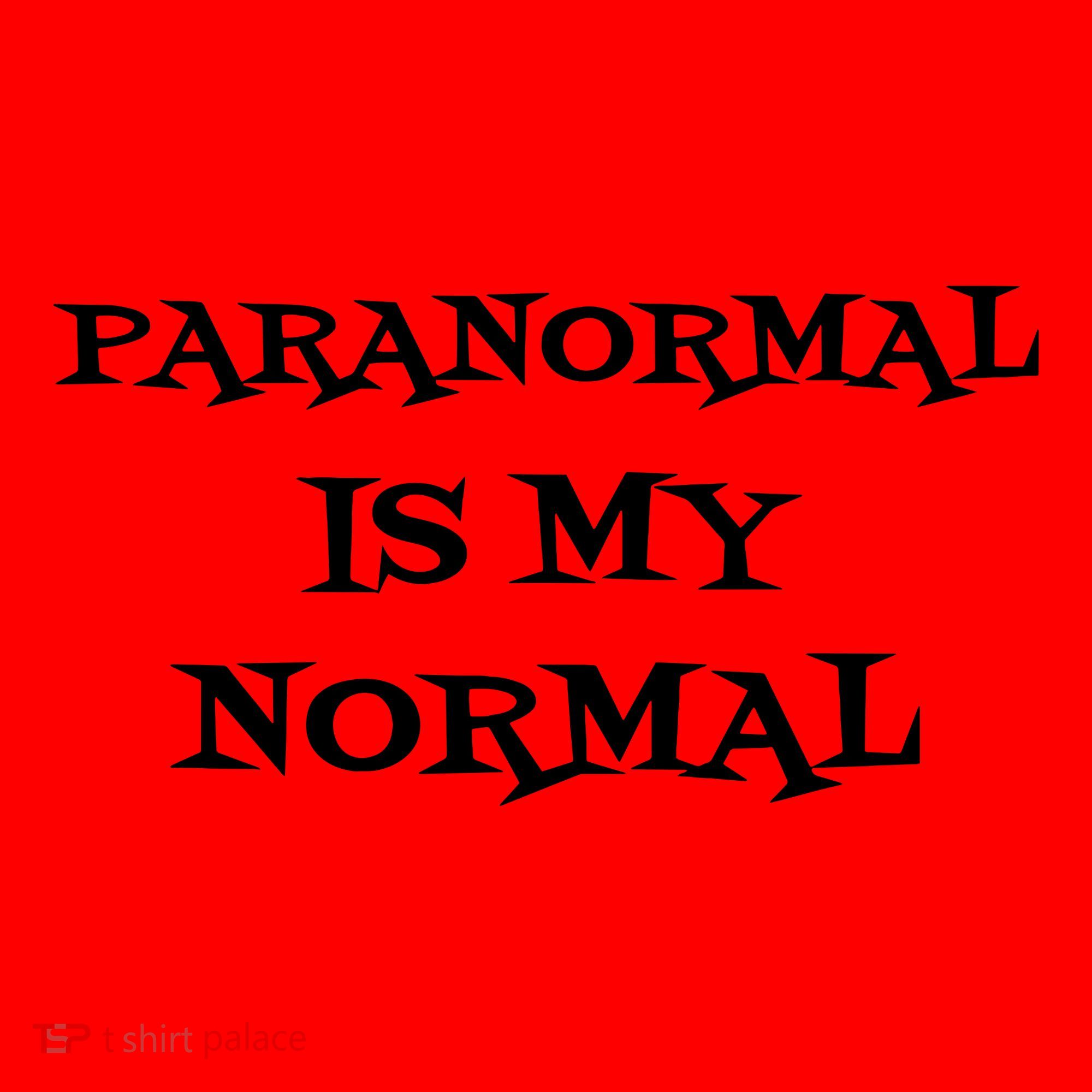 Paranormal Is My Normal Ghost Hunting Santa Hat