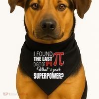 Pi In Math 3 14 Number Symbol For Math Teacher Pi Rate Great Gift USA-Made Doggie Bandana thumb 1