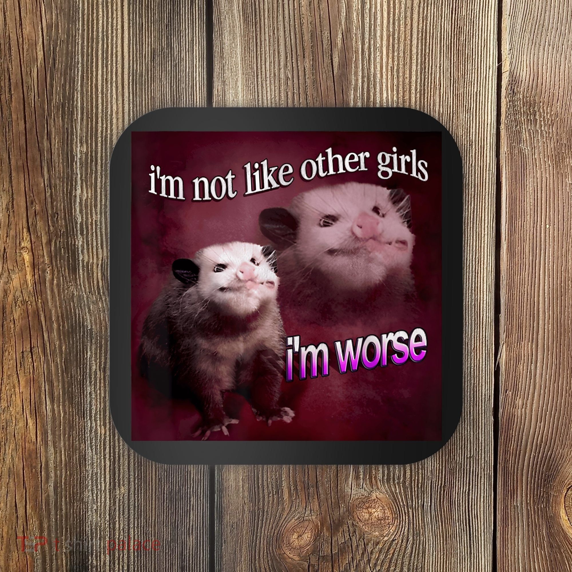 Possum I’m Not Like Other Girl I’m Worse Coaster