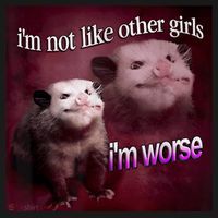 Possum I’m Not Like Other Girl I’m Worse Visor thumb 3
