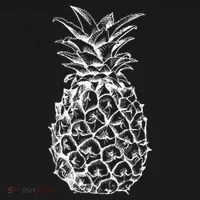 Simple Pineapple Women's Hoodie thumb 2