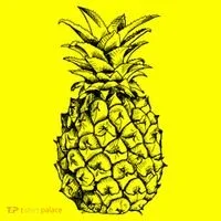 Simple Pineapple Kids Long Sleeve Shirt thumb 2