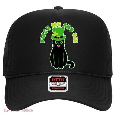 Pinch Me And Die St. Patrick's Day Cat Hat