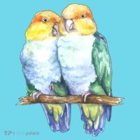 Pineapple Conure Watercolor Bird T-Shirt thumb 6