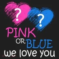 Pink or Blue We Love You Women's Sweatshirt thumb 2