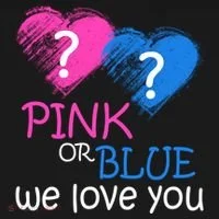 Pink or Blue We Love You T-Shirt thumb 7