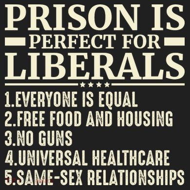 Prison Is Perfect For Liberals Women's Dry Zone Grid Polo