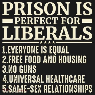 Prison Is Perfect For Liberals Performance Fleece Hoodie