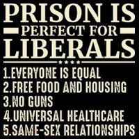 Prison Is Perfect For Liberals Tank Top thumb 6