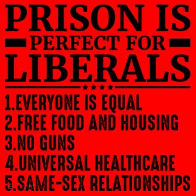 Prison Is Perfect For Liberals Santa Hat