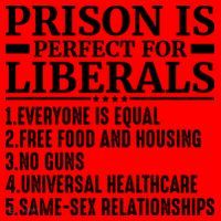 Prison Is Perfect For Liberals Santa Hat thumb 1