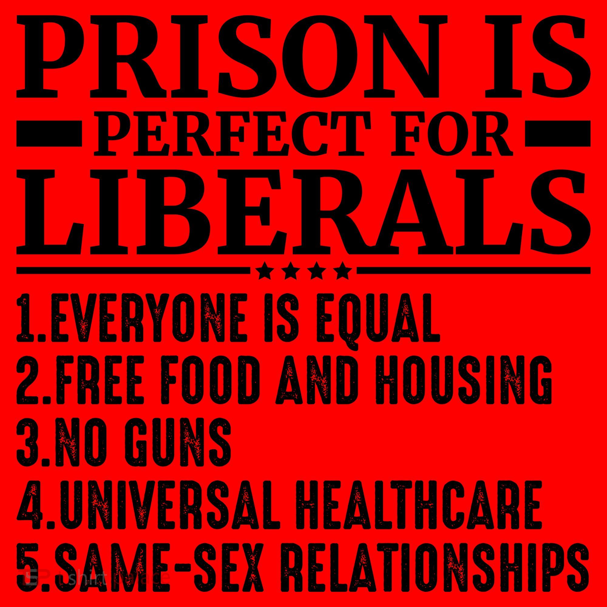Prison Is Perfect For Liberals Santa Hat