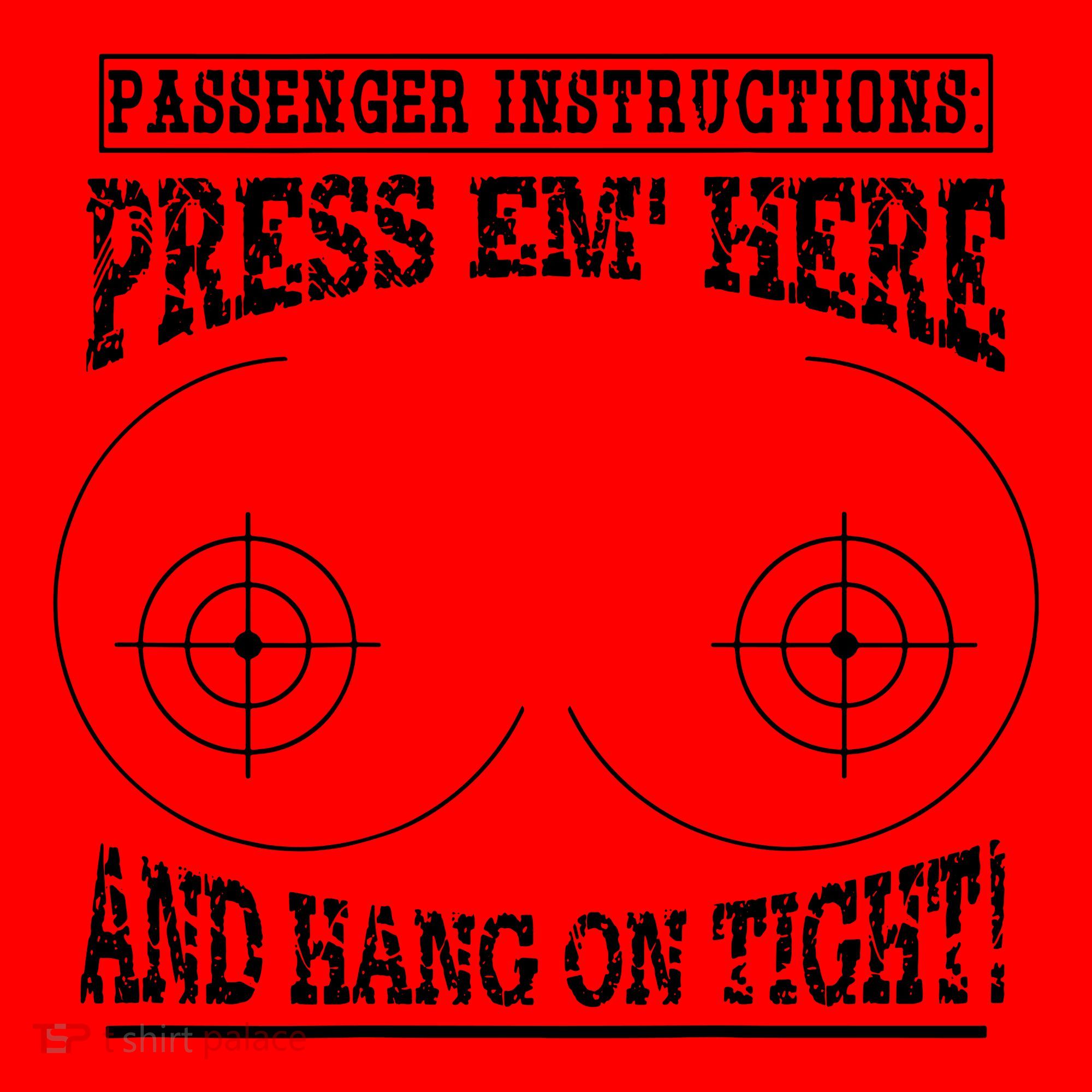 Passenger Instructions Press Em Here Santa Hat
