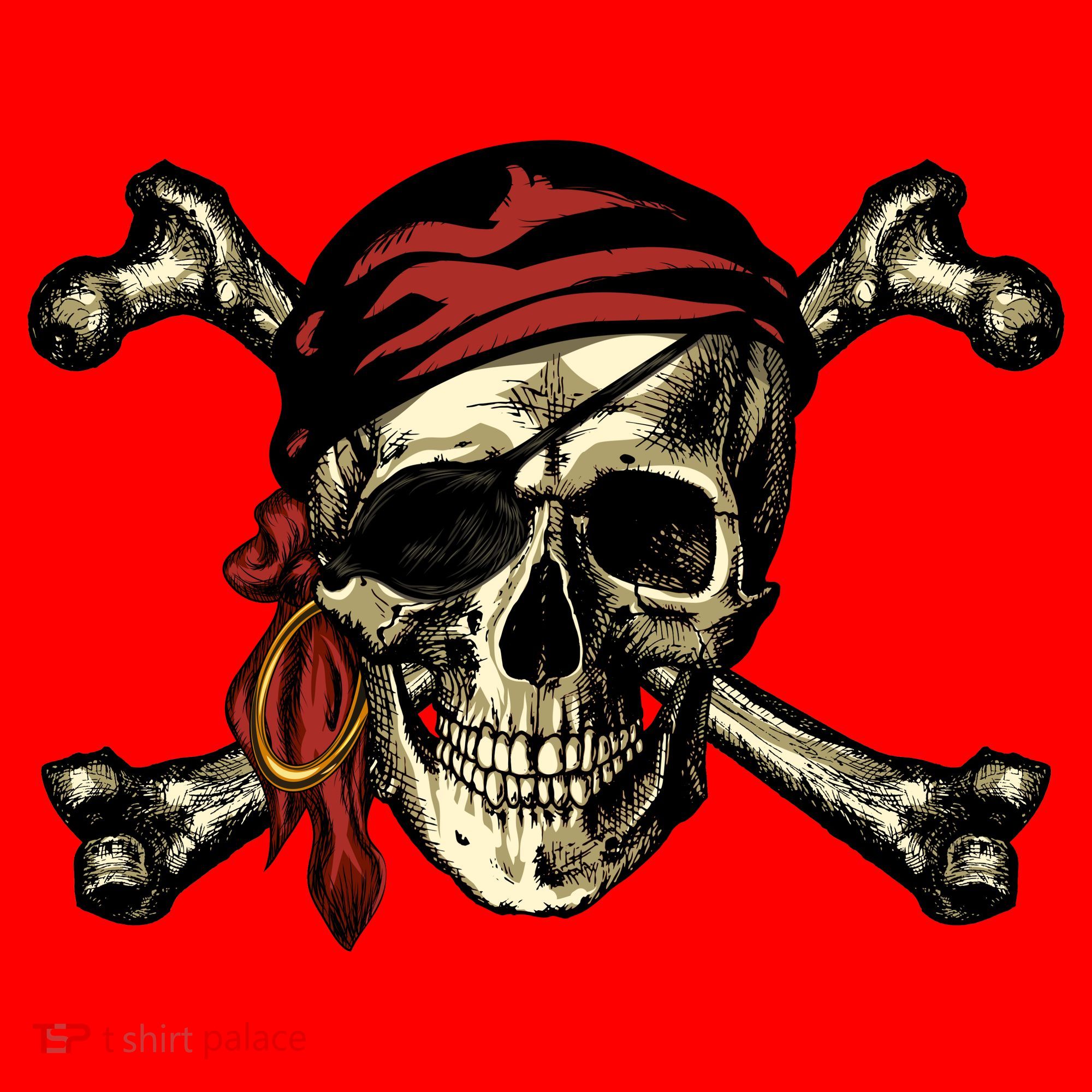 Pirate Skull Crossbones Santa Hat