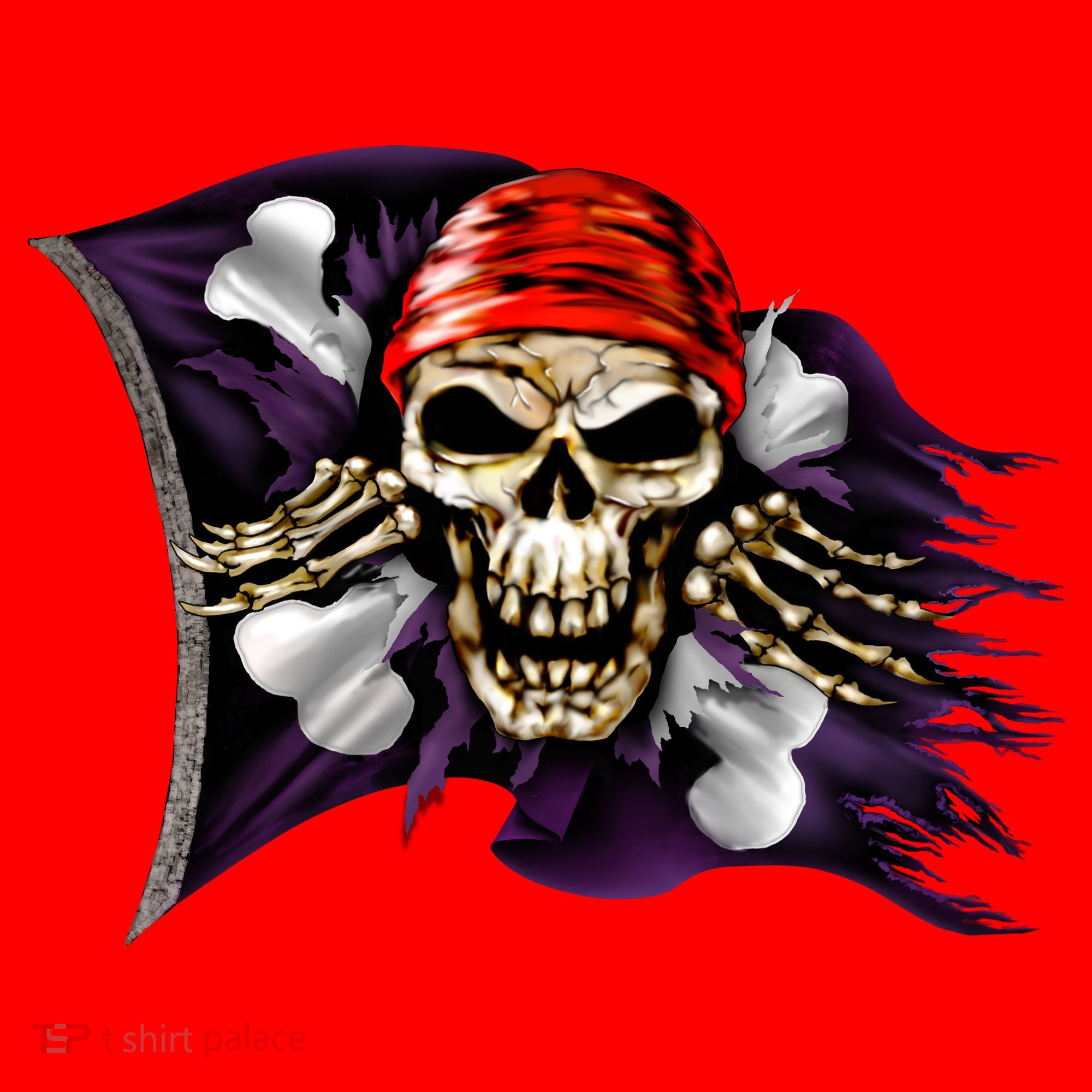Pirate Skull Flag Santa Hat