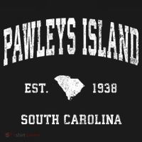 Pawleys Island South Carolina Sc Vintage Athletic Sports T-Shirt thumb 7