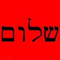 Peace Israeli Style Shalom Hebrew Calligraphy Shabbat Shalom Santa Hat thumb 1