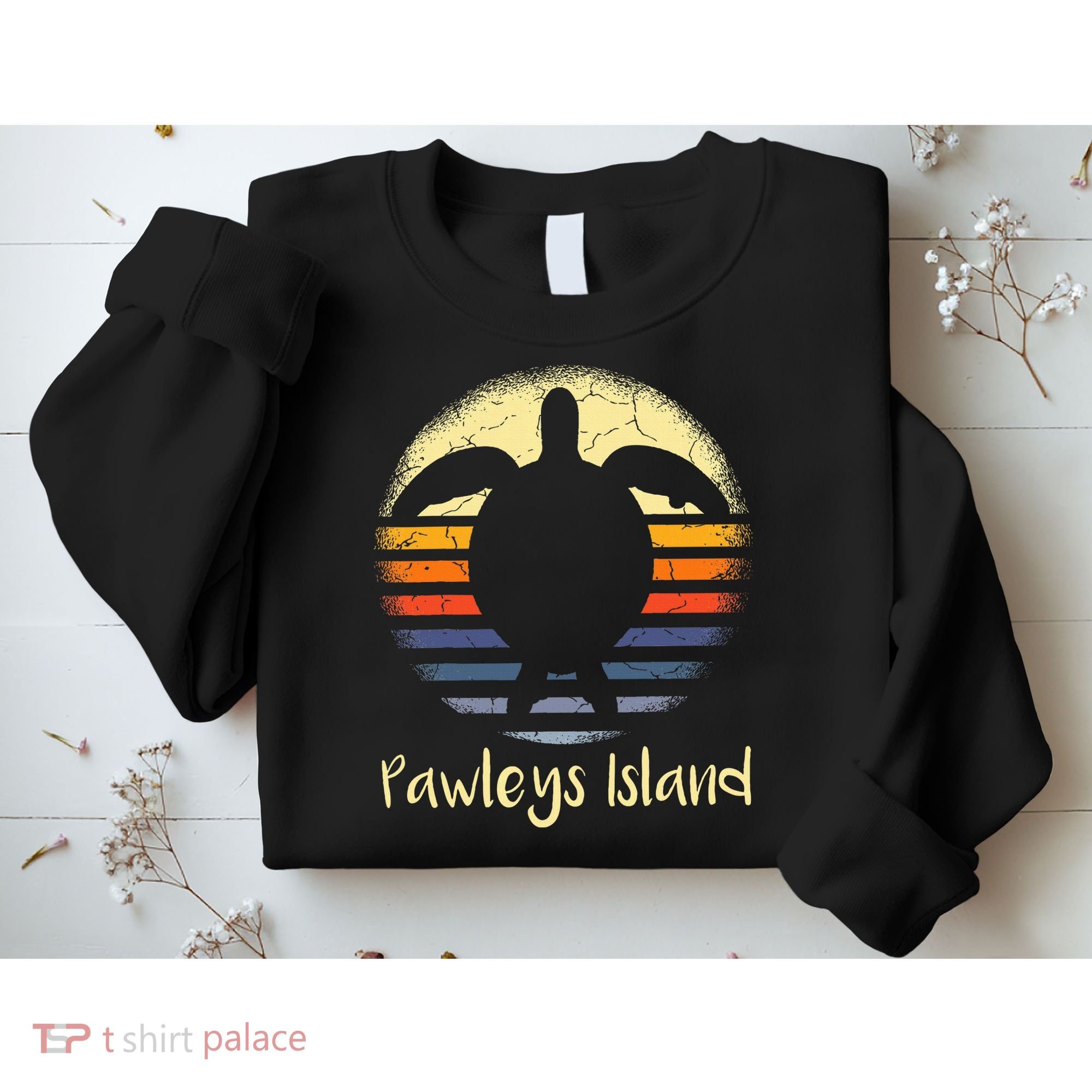 Pawleys Island South Carolina Sc Loggerhead Sea Turtle Lover Sweatshirt