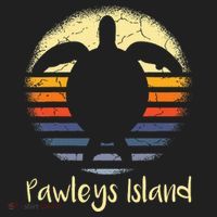 Pawleys Island South Carolina Sc Loggerhead Sea Turtle Lover Beanie thumb 2
