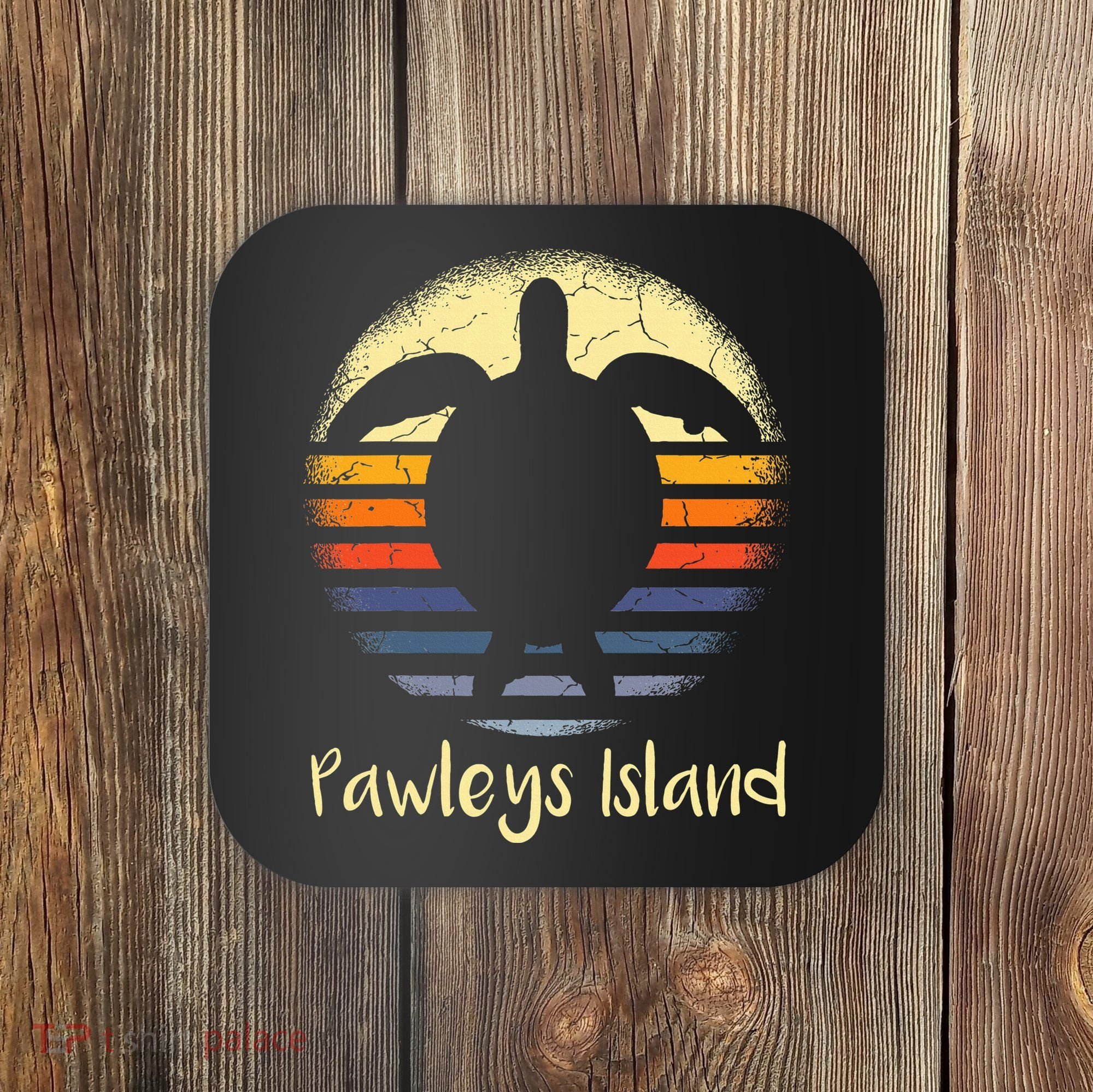 Pawleys Island South Carolina Sc Loggerhead Sea Turtle Lover Coaster