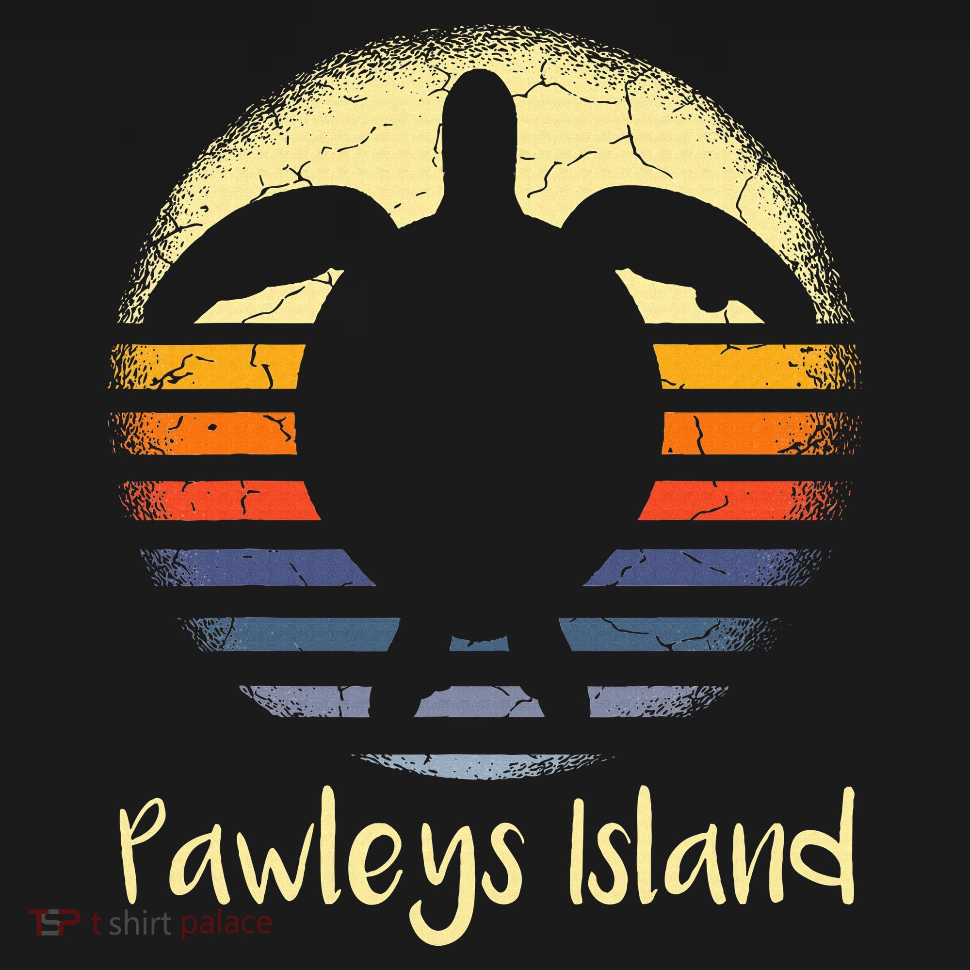 Pawleys Island South Carolina Sc Loggerhead Sea Turtle Lover Women's Hoodie
