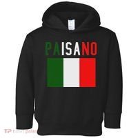 Paisano Italian Slang, Funny Italian Sayings Gift Toddler Hoodie thumb 0