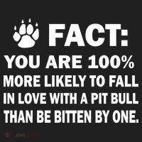 Pit Bull Funny Fact Women's Sweatshirt thumb 2