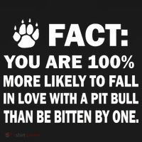 Pit Bull Funny Fact Hoodie thumb 2