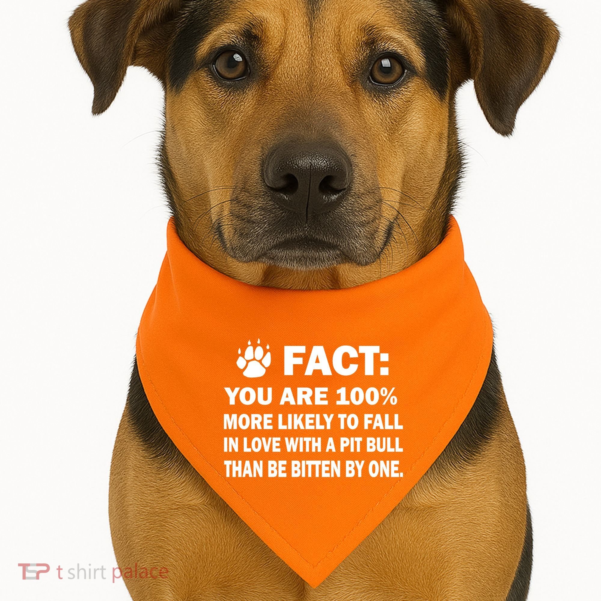 Pit Bull Funny Fact USA-Made Doggie Bandana