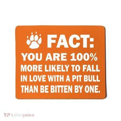 Pit Bull Funny Fact Mousepad