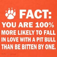 Pit Bull Funny Fact Women's T-Shirt thumb 6