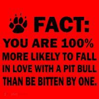 Pit Bull Funny Fact Santa Hat thumb 1