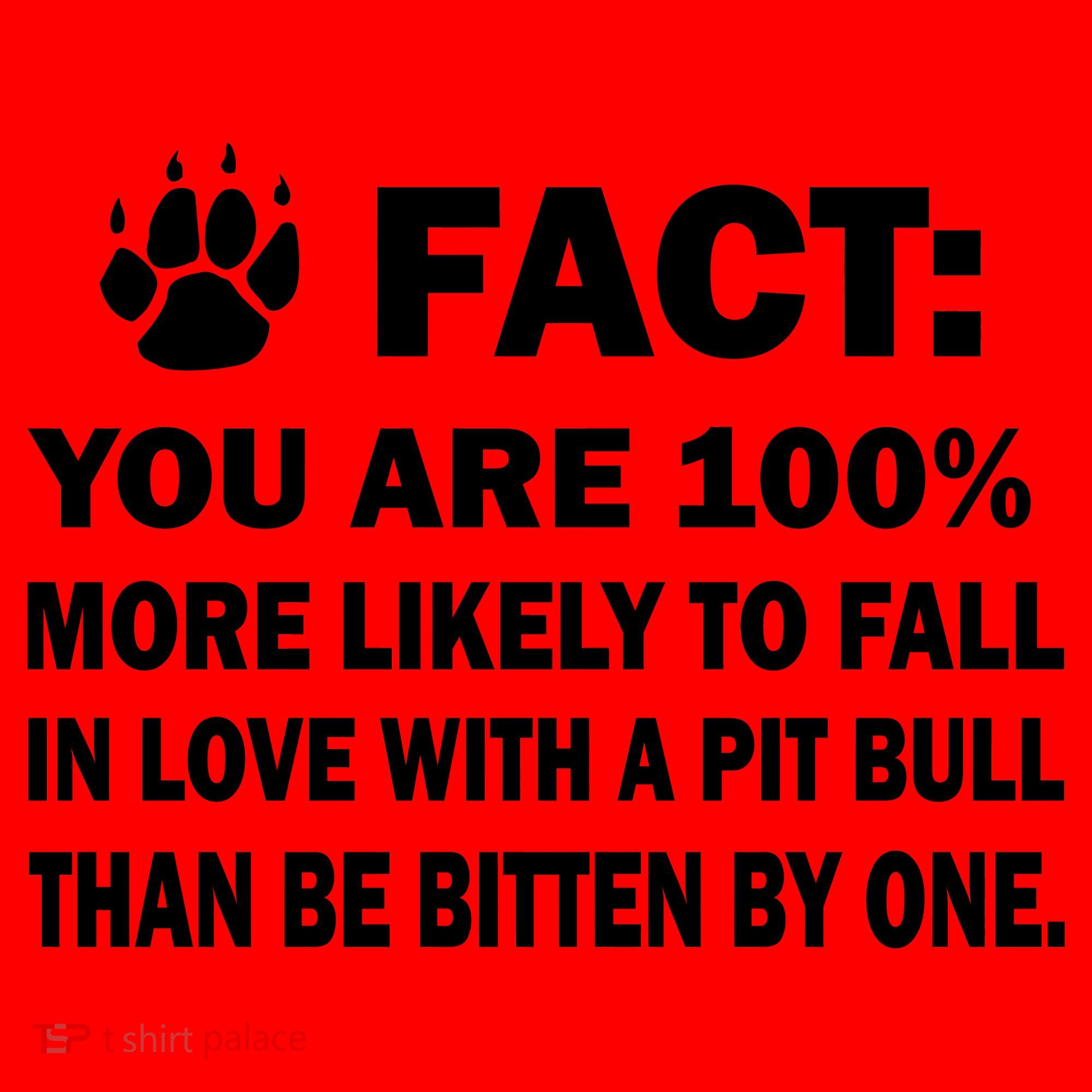 Pit Bull Funny Fact Santa Hat