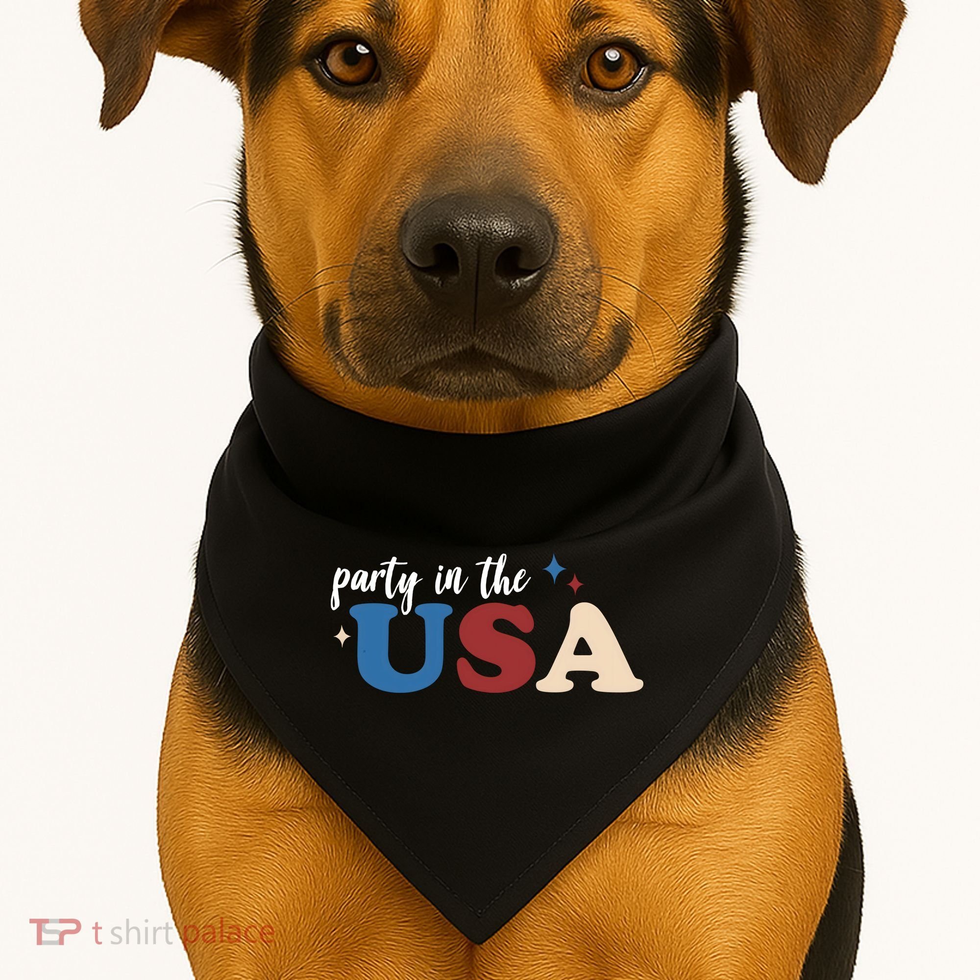 Party In The USA Holiday Festive USA-Made Doggie Bandana