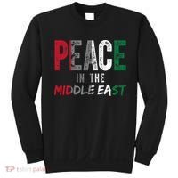 Peace In The Middle East Palestine Flag Sweatshirt thumb 0