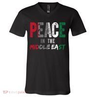 Peace In The Middle East Palestine Flag V-Neck T-Shirt thumb 0