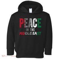 Peace In The Middle East Palestine Flag Toddler Hoodie thumb 0