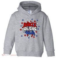 Party In The Usa Festive 4th Of July Celebration Toddler Hoodie thumb 0