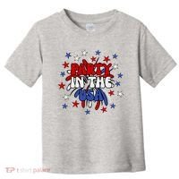 Party In The Usa Festive 4th Of July Celebration Toddler T-Shirt thumb 0