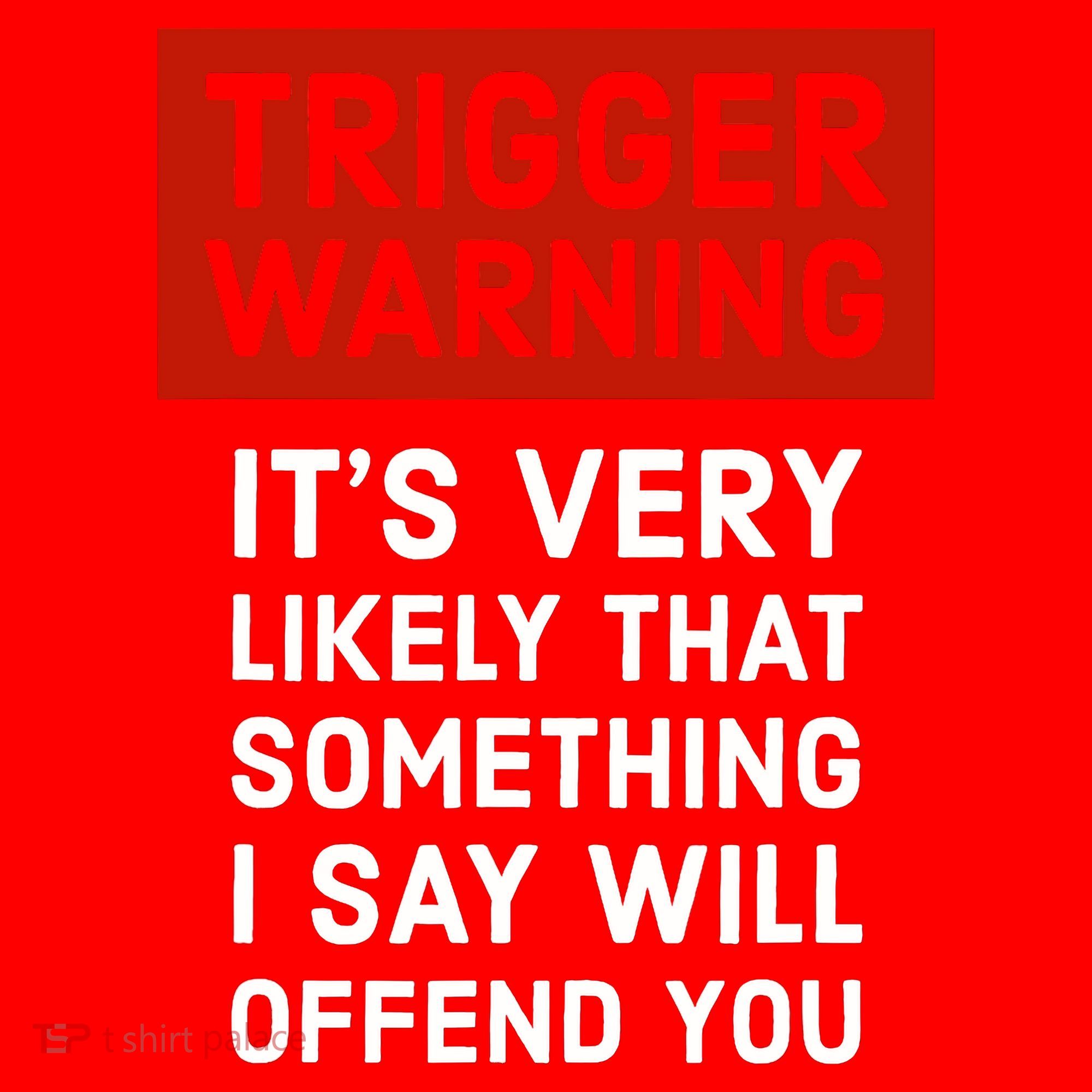 Politically Incorrect Trigger Warning Santa Hat
