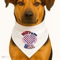 Party In The Usa Firework Red White Blue Heart USA-Made Doggie Bandana thumb 1