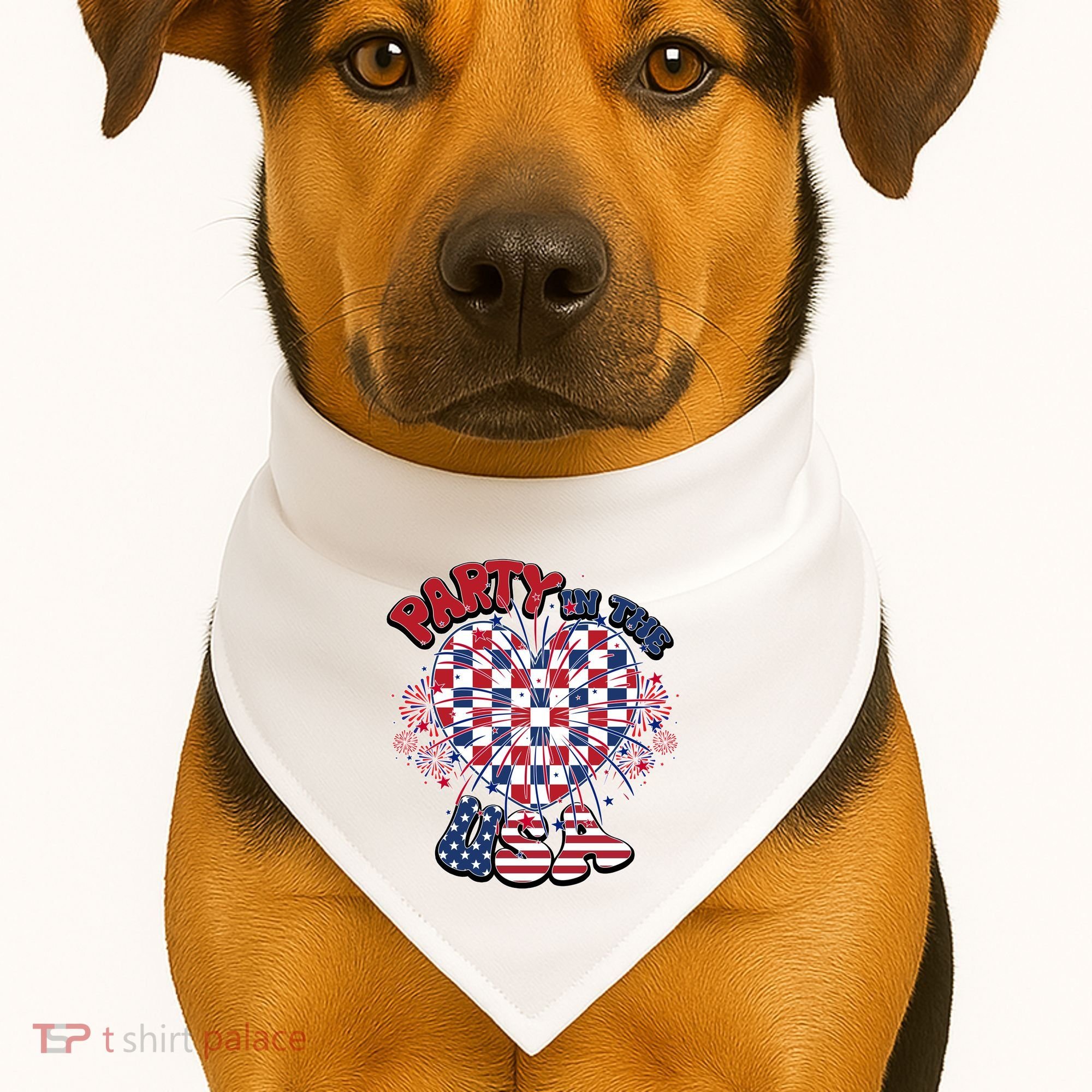 Party In The Usa Firework Red White Blue Heart USA-Made Doggie Bandana