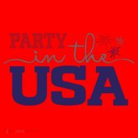 Party In The USA Fourth Of July Santa Hat thumb 1