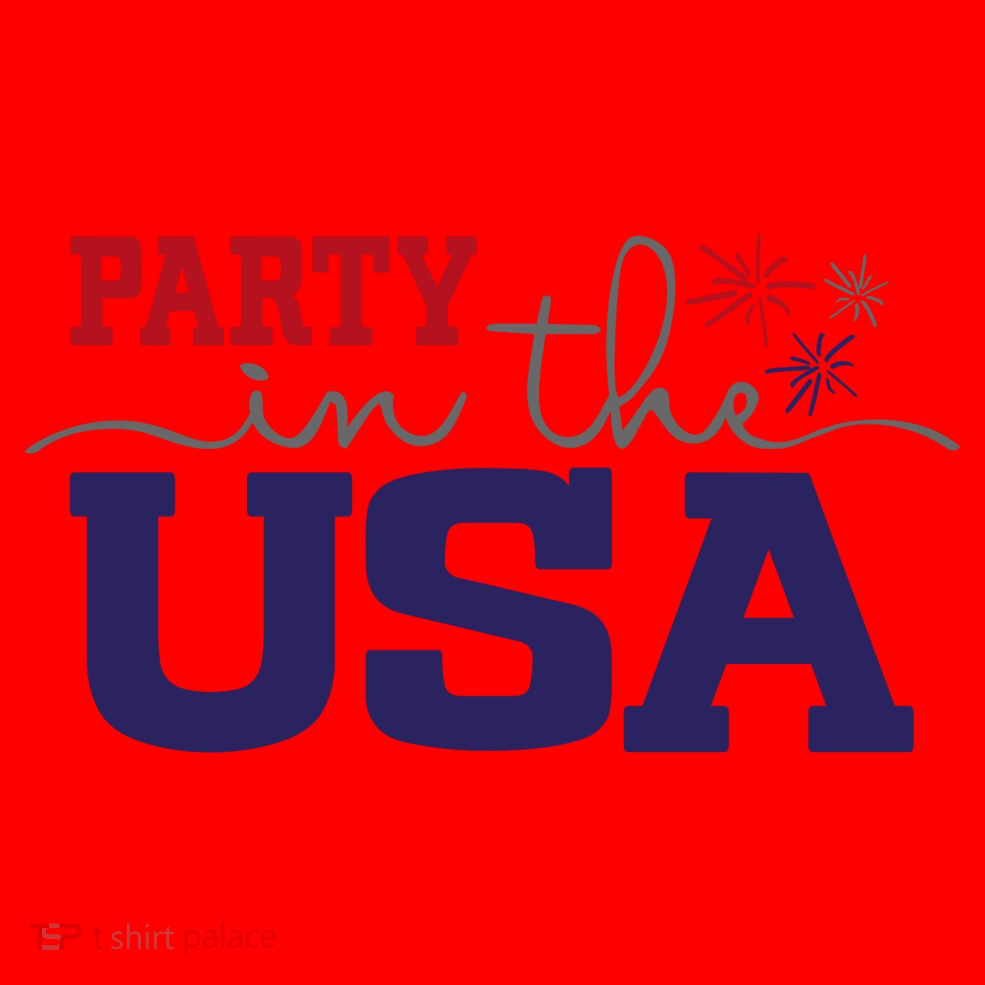 Party In The USA Fourth Of July Santa Hat