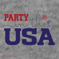 Party In The USA Fourth Of July Toddler Hoodie thumb 2