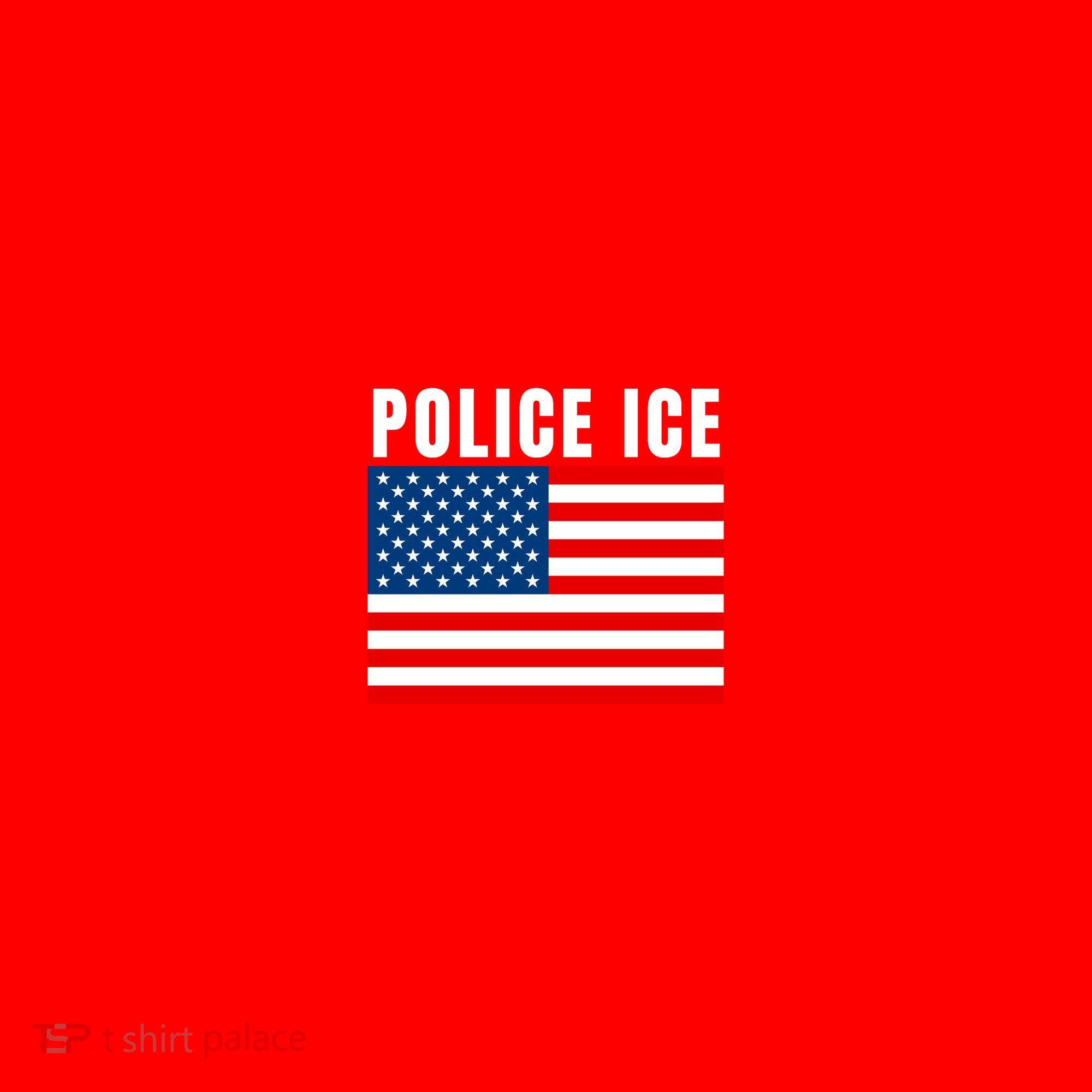 Police Ice  Us Immigration Agent Uniform Santa Hat