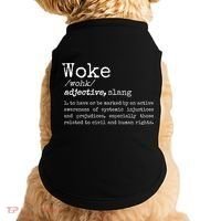 Politically Informed Woke Meaning Dictionary Definition Woke Doggie Tank thumb 0